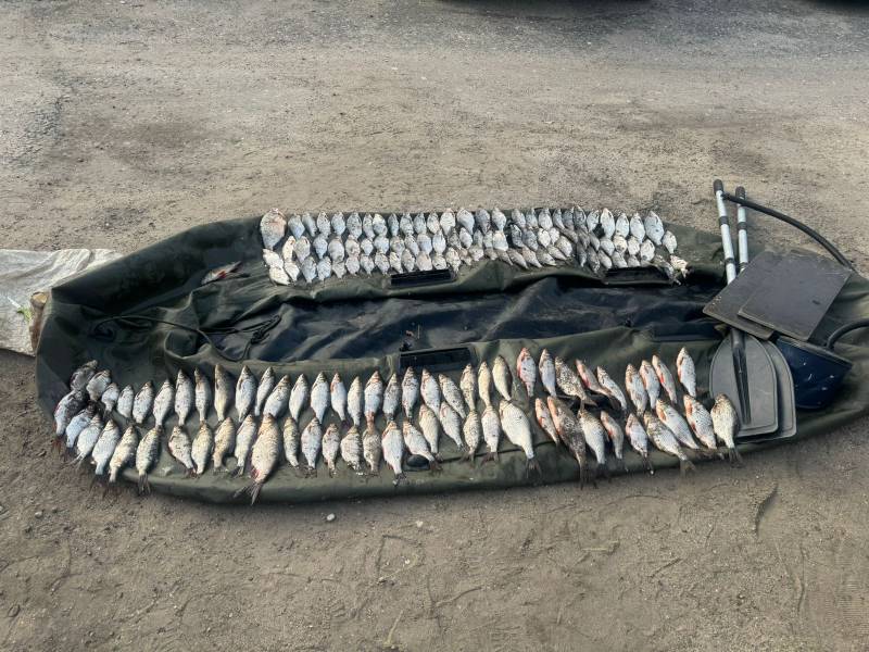 В Смоленской области двум рыбакам грозит уголовное дело